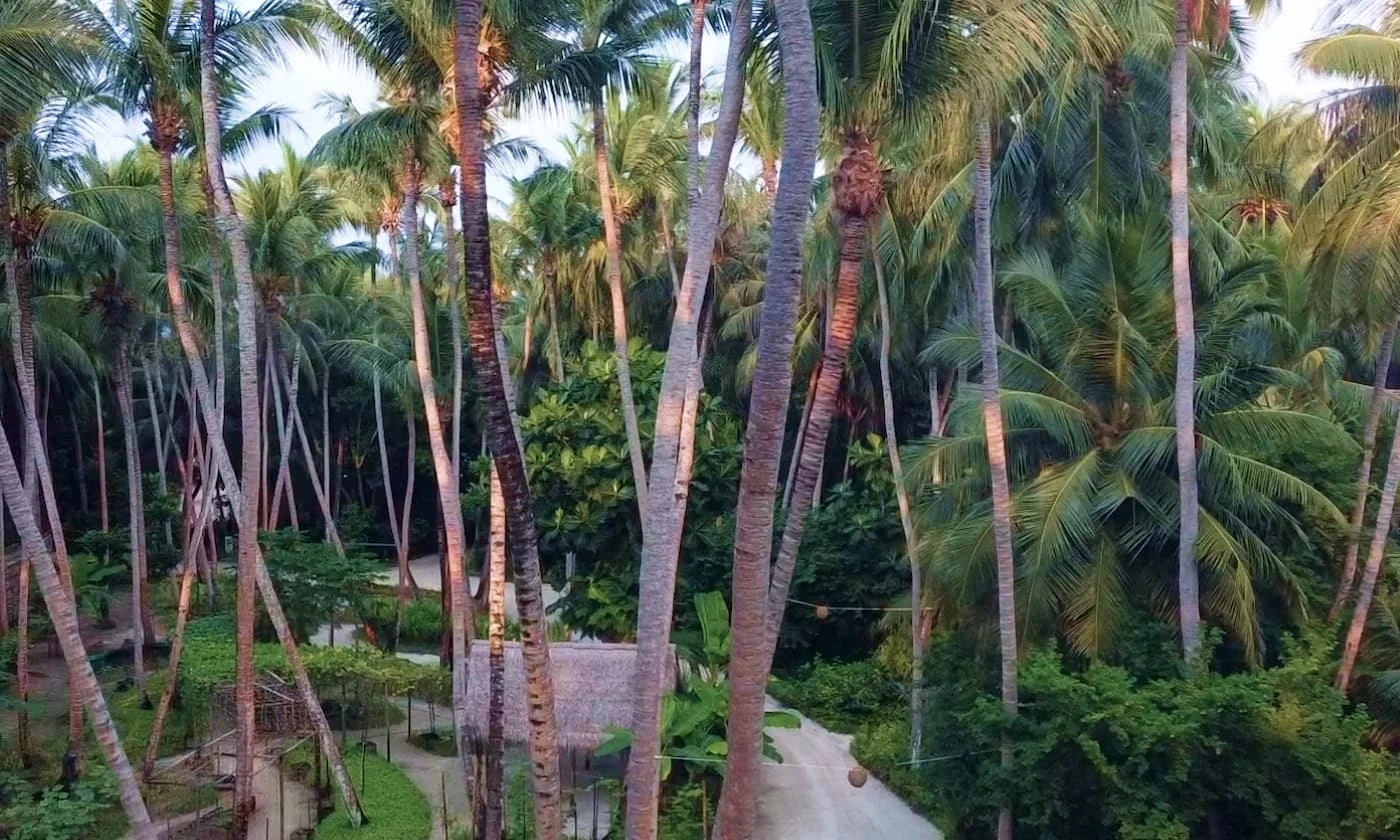 Amilla Maldives