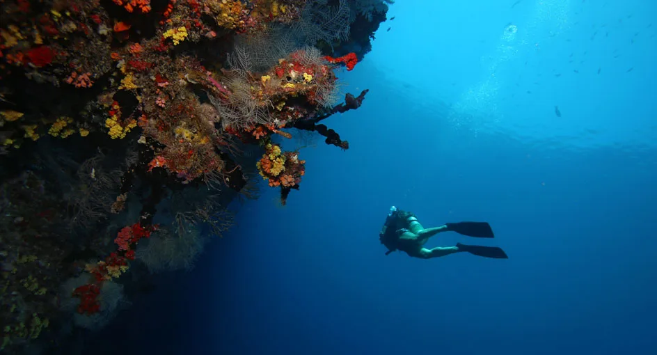Diving & Snorkelling