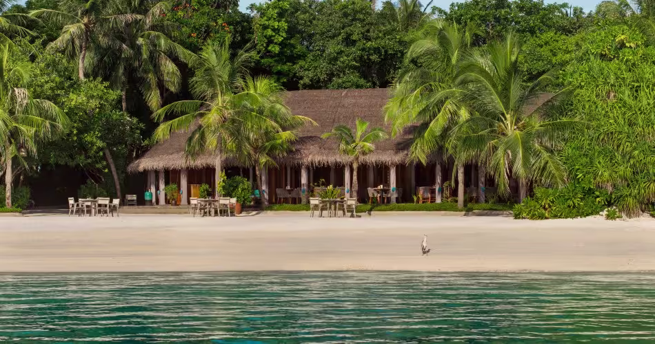 Nomea resorts